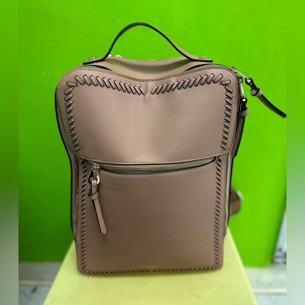 Calpax Laptop and Backpack